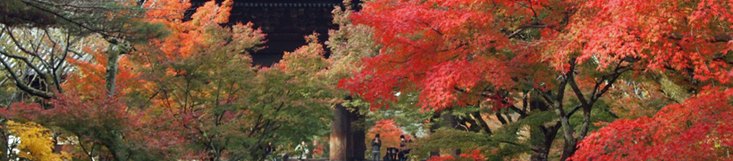 南禅寺の紅葉